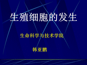 生殖细胞发生教学评优赛.ppt