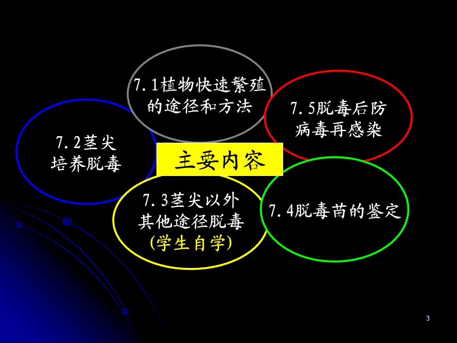 植物快速繁殖和脱毒.ppt_第3页