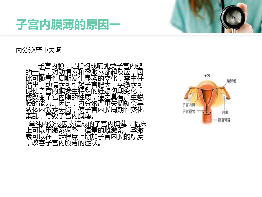 子宫内膜薄的原因.ppt_第3页