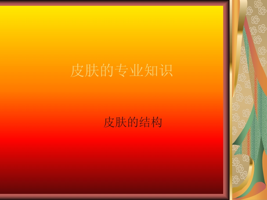 皮肤的专业知识.ppt_第1页