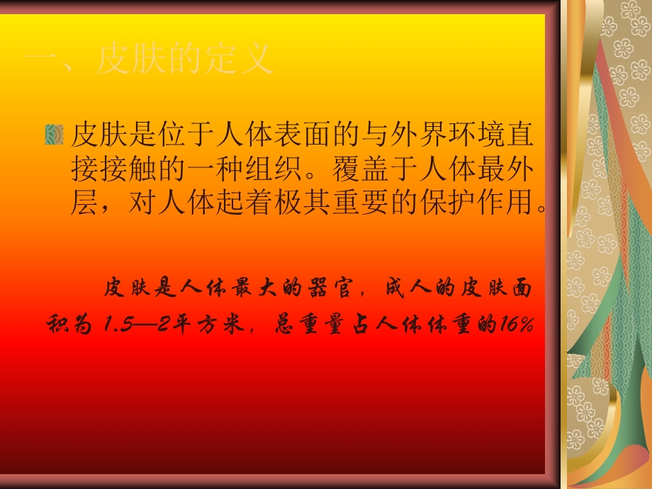 皮肤的专业知识.ppt_第2页