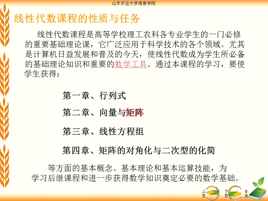 行列式定义性质与计算.ppt_第2页