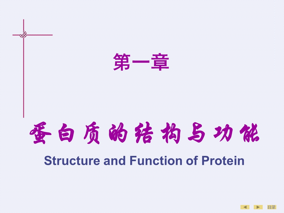 生物化学与分子生物学(人卫版)教材课件全集.ppt_第1页