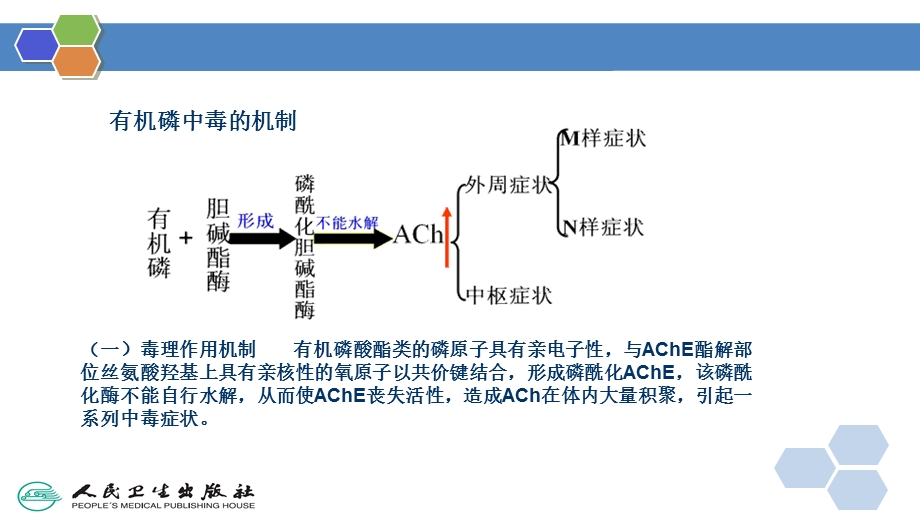 有机磷中毒机制.ppt_第3页