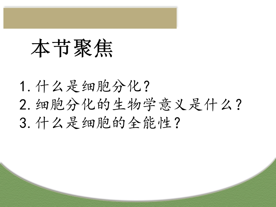 细胞的分化、衰老、凋亡和癌变.ppt_第2页