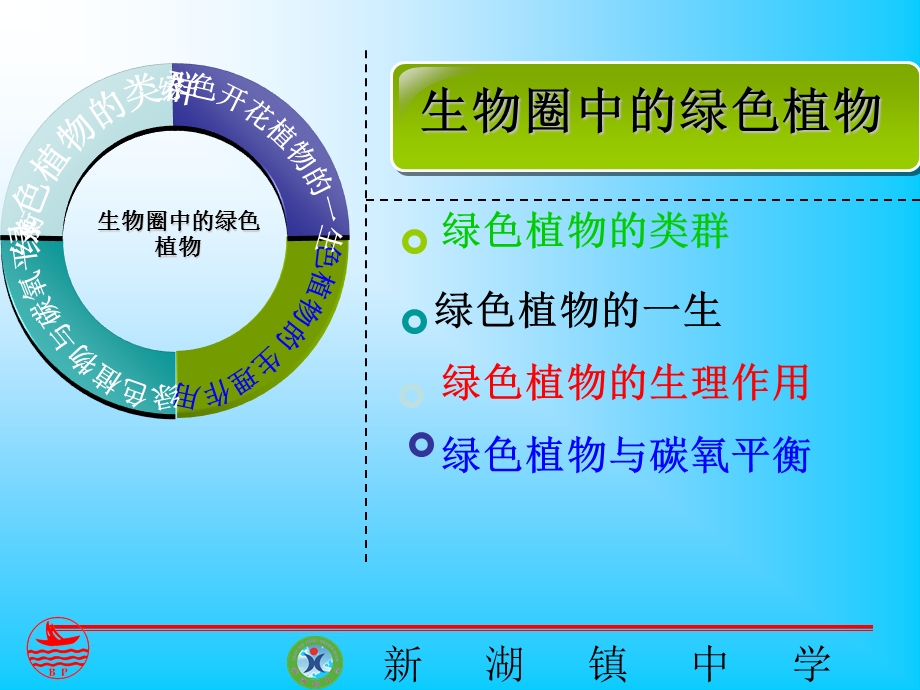 生物圈中的绿色植物专题复习.ppt_第2页