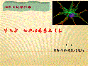 细胞培养技术实用篇.ppt