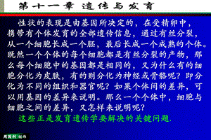 遗传与个体发育.ppt