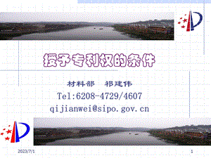 授予专利权的条件祁建伟.ppt