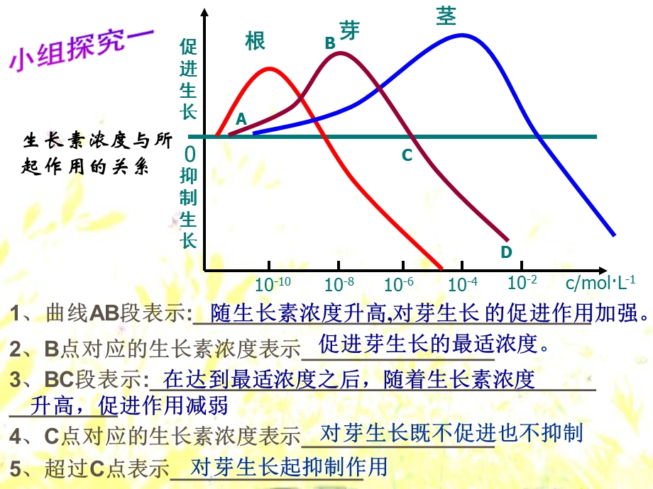 生长素生理作用.ppt_第3页