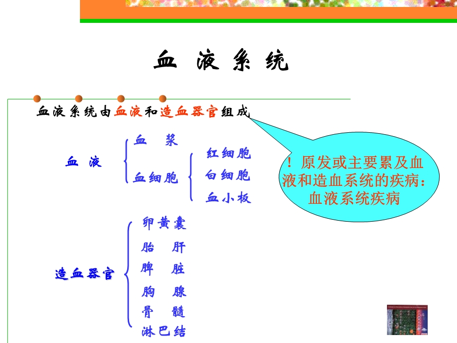 血液学贫血总论.ppt_第2页