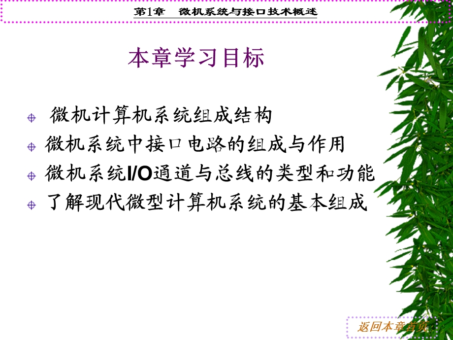 微机系统与接口技术概述.ppt_第2页