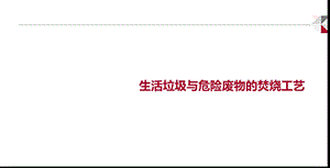 垃圾焚烧及烟气净化工艺.ppt