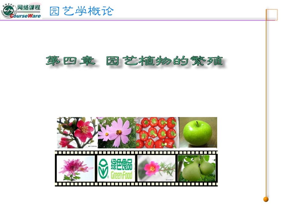 园艺植物的繁殖技术.ppt_第1页