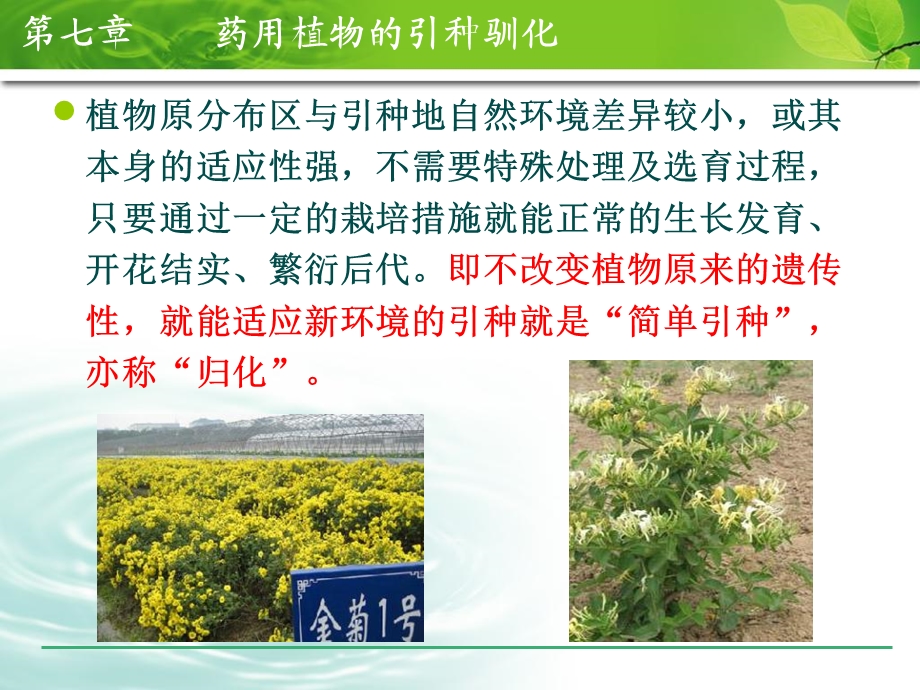 药用植物引种驯化.ppt_第3页