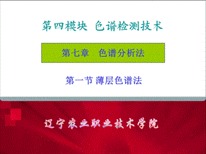 四模块色谱检测技术.ppt