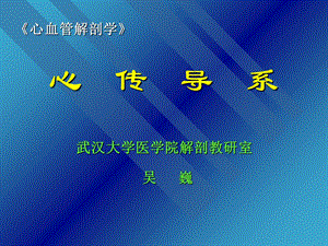 心脏传导系统详解.ppt