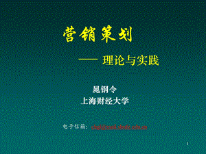 g上海财经大学营销策划理论与实践.ppt