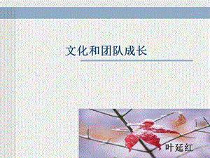 文化和团队成长.ppt