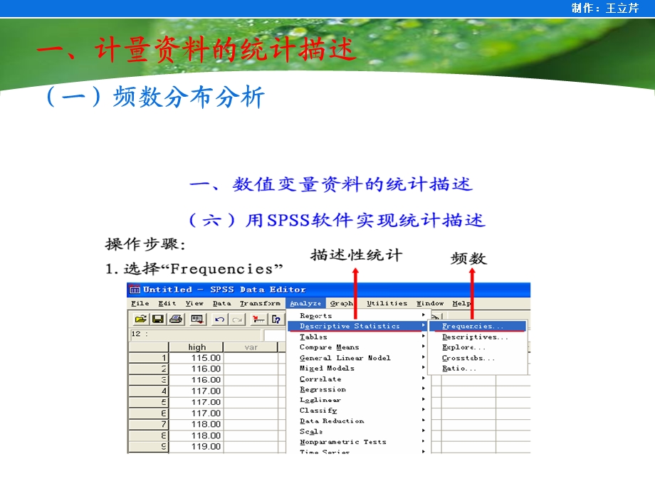 统计描述与t检验(SPSS).ppt_第2页