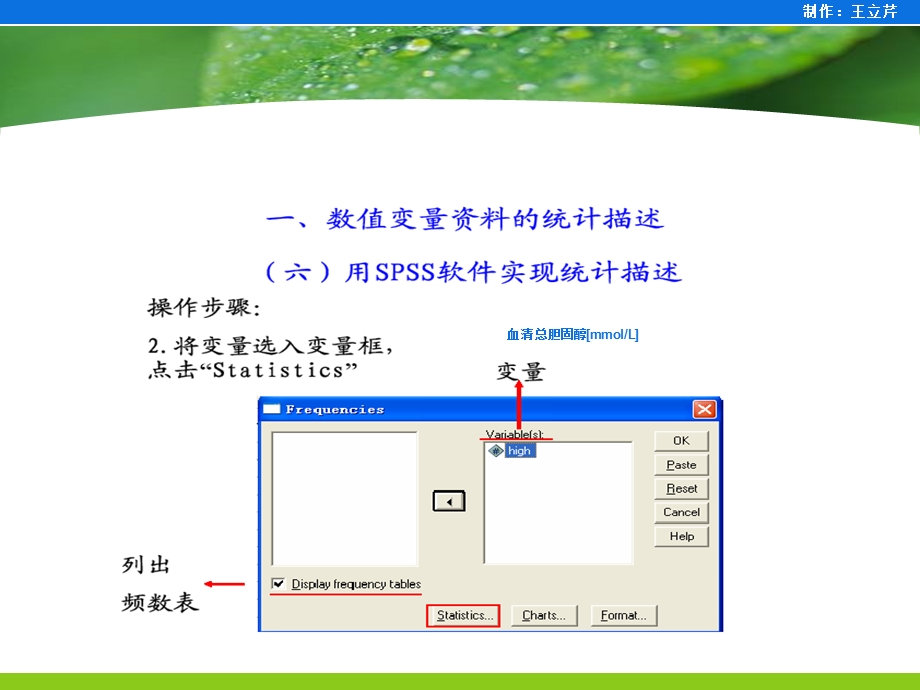 统计描述与t检验(SPSS).ppt_第3页