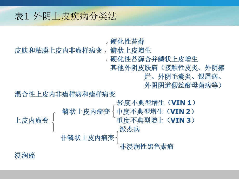 外阴上皮内非瘤样病变课件.ppt_第3页