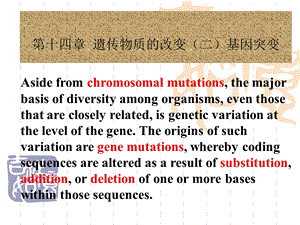 遗传物质的改变(二).ppt