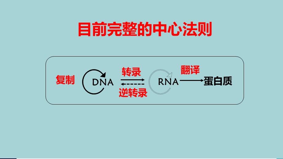 基因对性状的控制(珍藏版).ppt_第3页