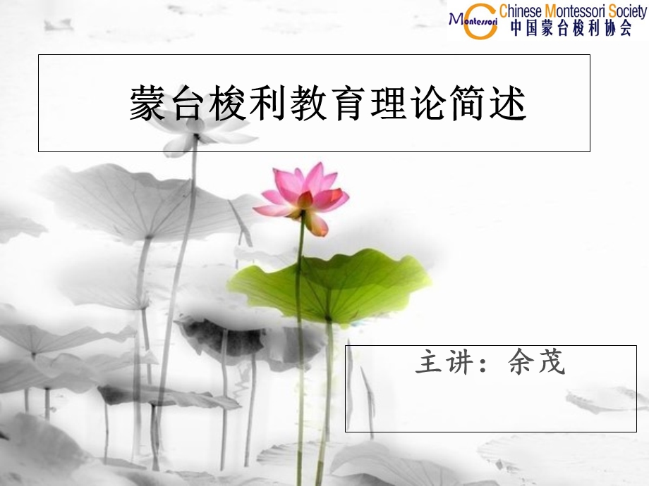 蒙台梭利教育理论简述.ppt_第1页