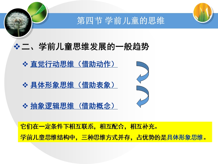 学前儿童的思维(第四节).ppt_第3页