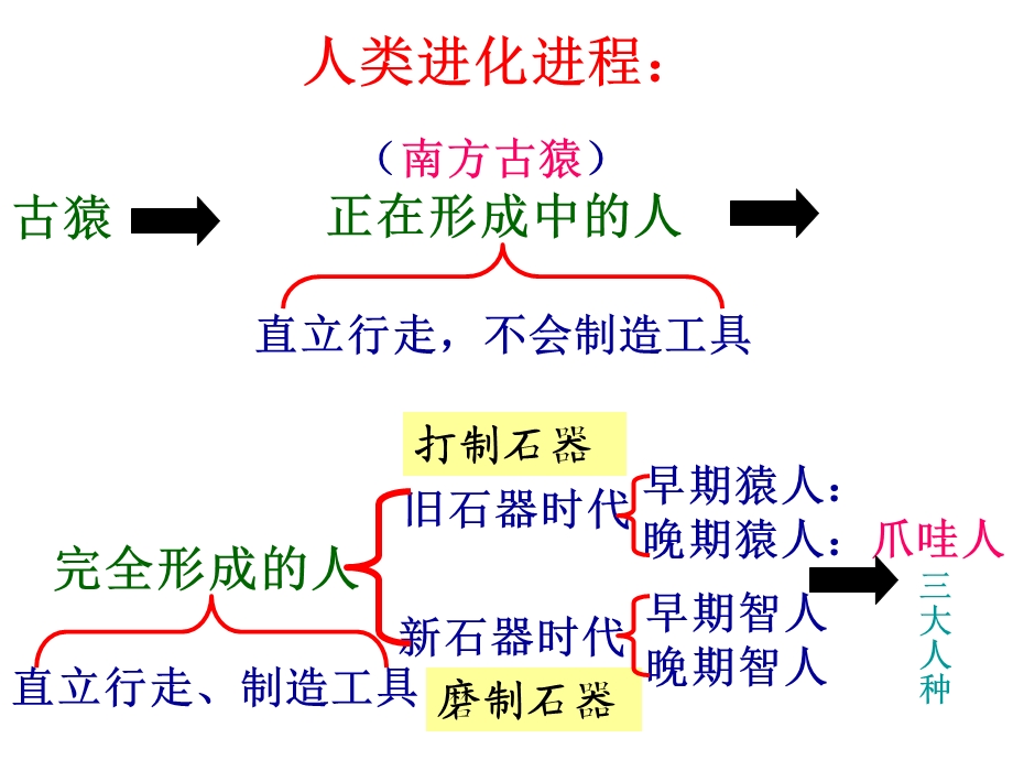 世界古代史复习提纲.ppt_第2页