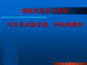 2、担保风险认识基础与风险识别、评估和控制讲稿10.ppt