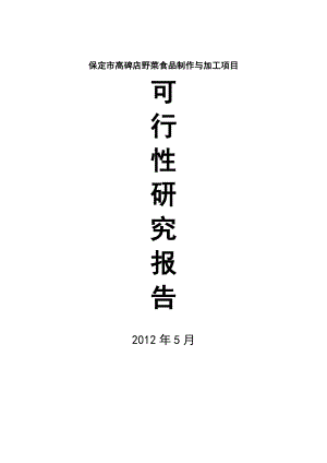 保定市野菜食品制作与加工项目可行研究报告.doc