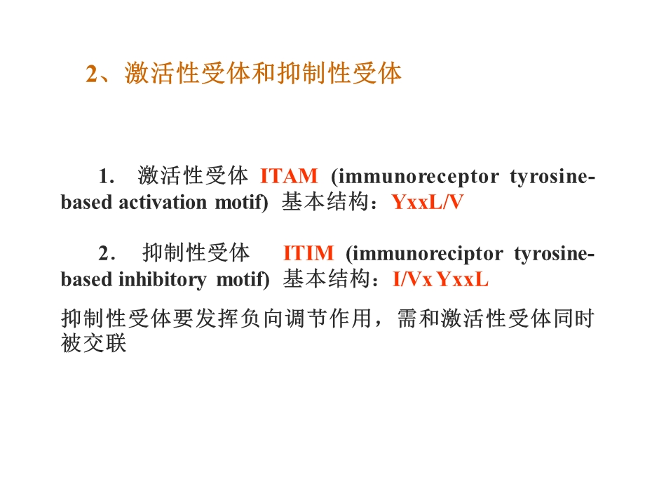 疫调节和免疫耐受.ppt_第3页