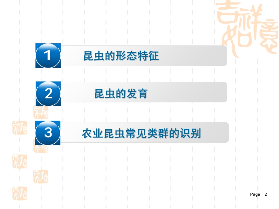 昆虫形态特征和分类.ppt_第2页