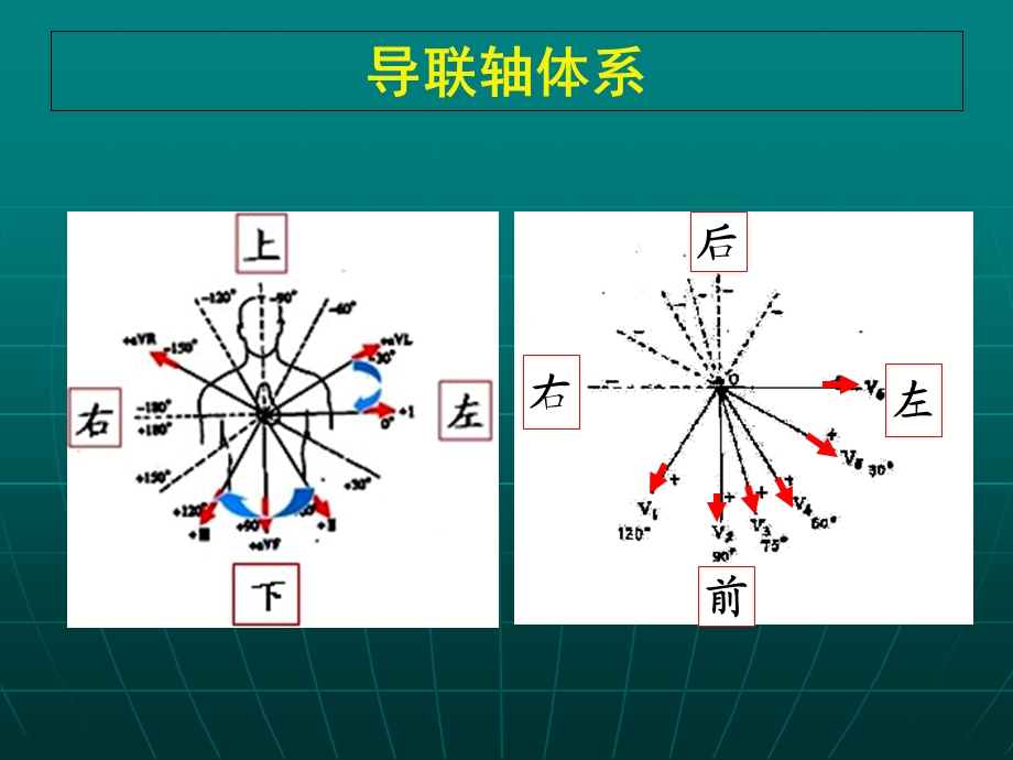 正常心电图及测量(2h).ppt_第2页