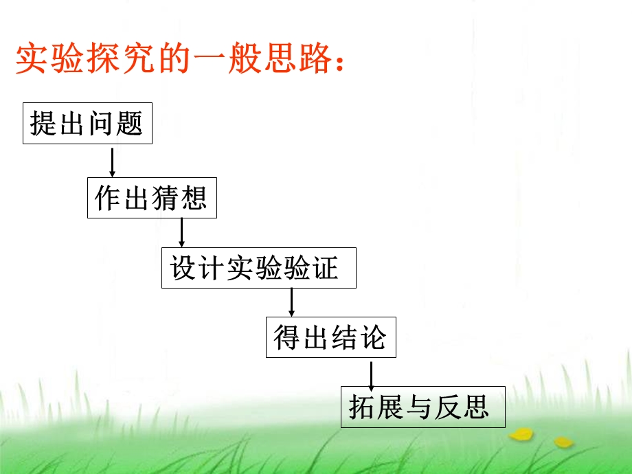 有关反应后物质成分的探究.ppt_第2页