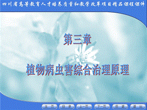 四川省高等教育人才培养质量和教学改革项目课程课件.ppt