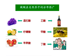 羧酸及其衍生物和取代酸.ppt