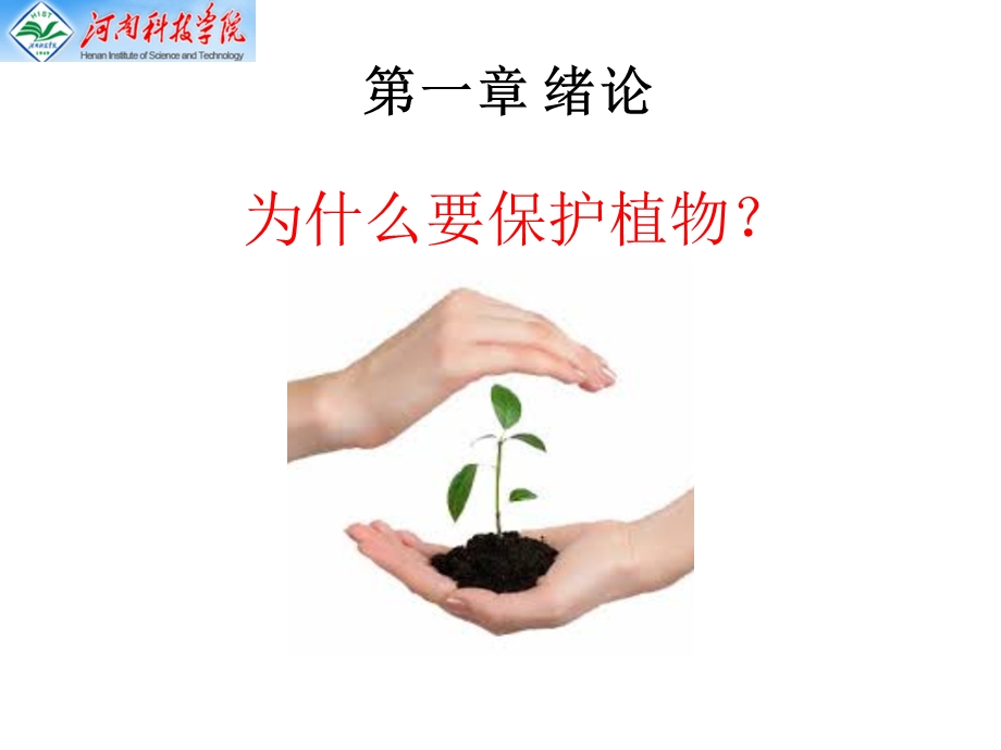 植物保护学通论.ppt_第2页