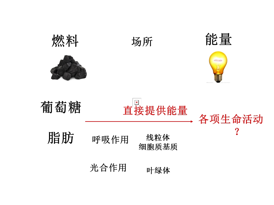 细胞的能量通货-ATP(优质课).ppt_第2页