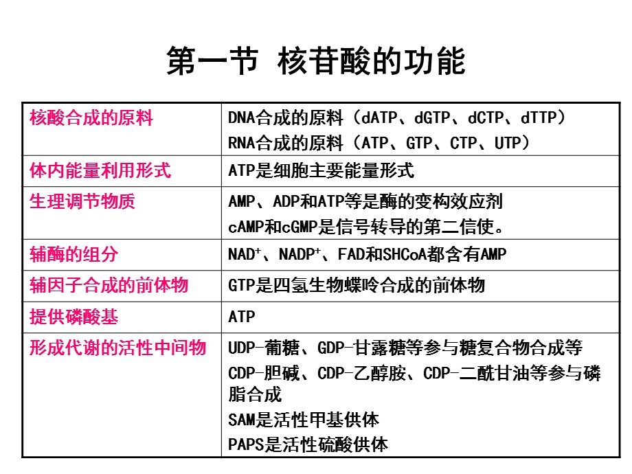 生物化学-核苷酸代谢.ppt_第2页