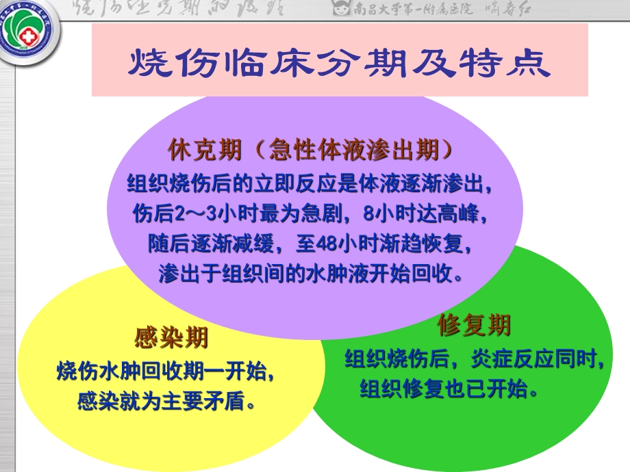 烧伤休克期的护理.ppt_第3页