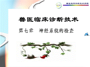 神经系统的检查.ppt