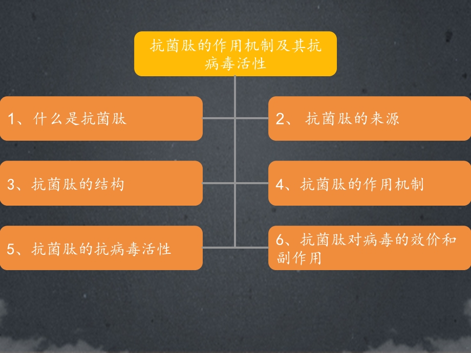 抗菌肽的作用机制及其抗病毒活性.ppt_第2页