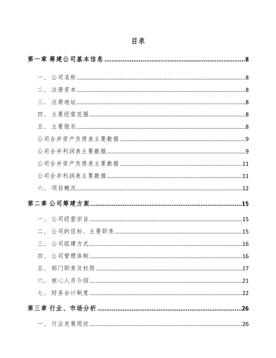 内蒙古关于成立消费电子产品公司可行性研究报告.docx_第2页