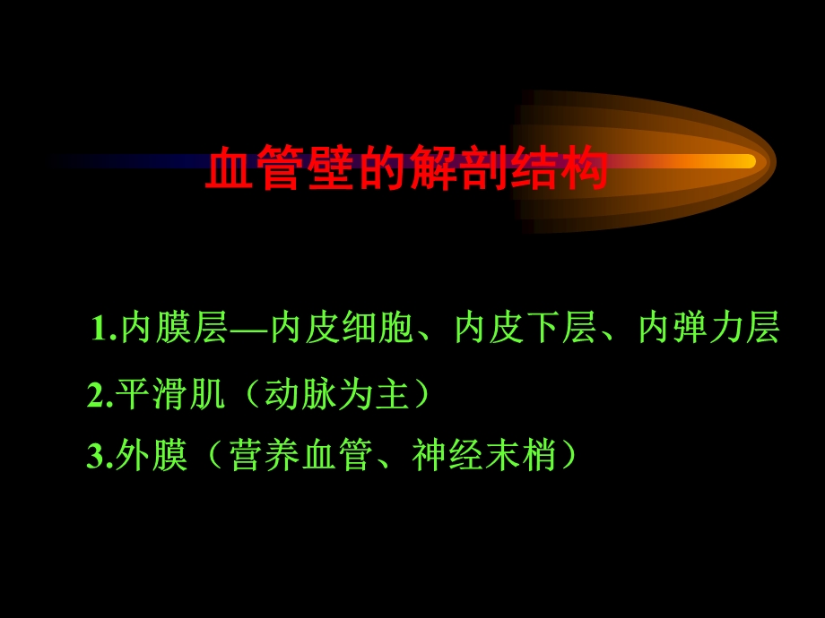 显微外科学习班资料.ppt_第2页