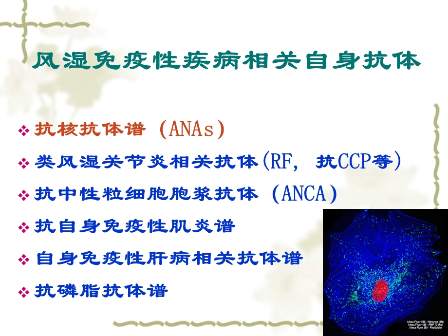 抗核抗体检测及临床意义-张瑾.ppt_第3页