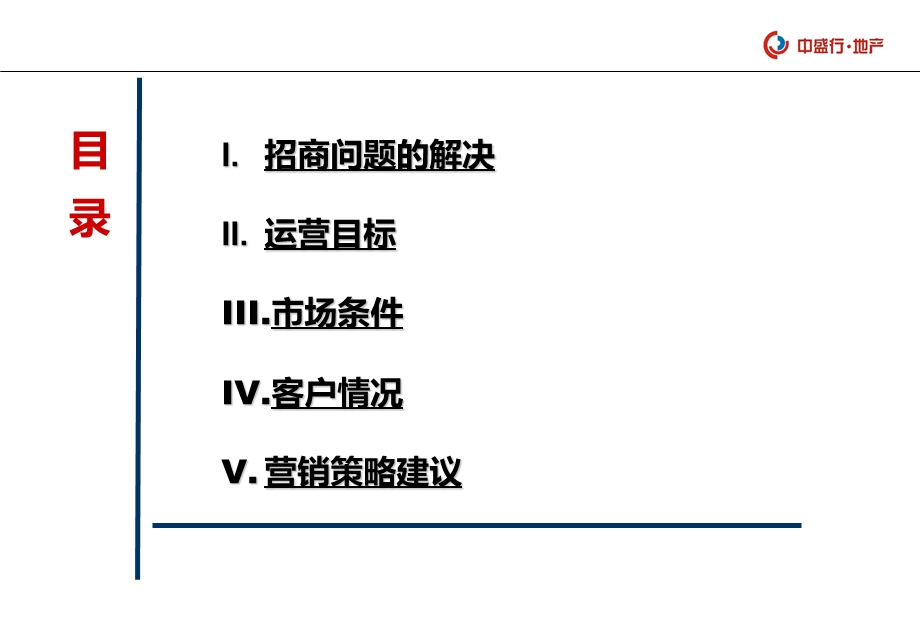 2013勤诚达新界营销策划方案.ppt_第2页