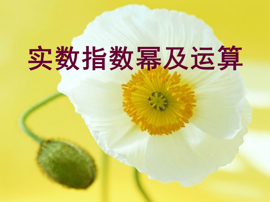 有理指数幂及其运算.ppt_第1页